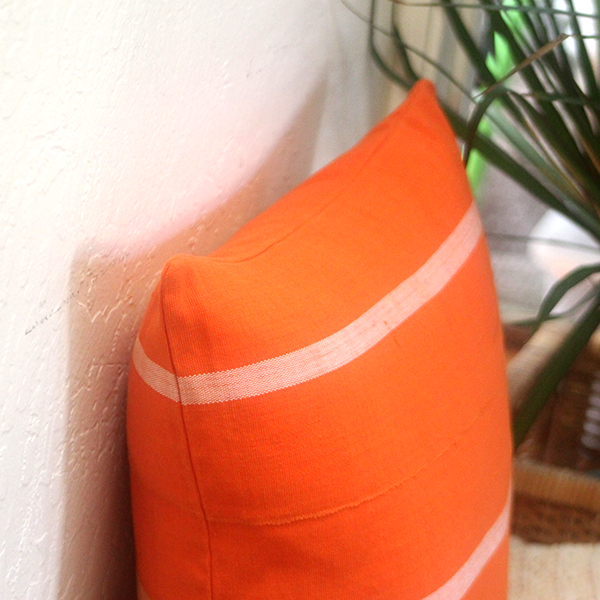 Papaya 20x20 Pillow Cover - noraokafor noraokafor