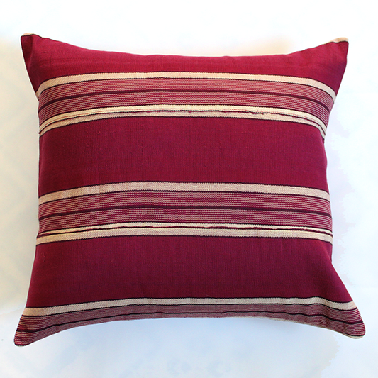 Pomegranate 20x20 Pillow Cover - noraokafor